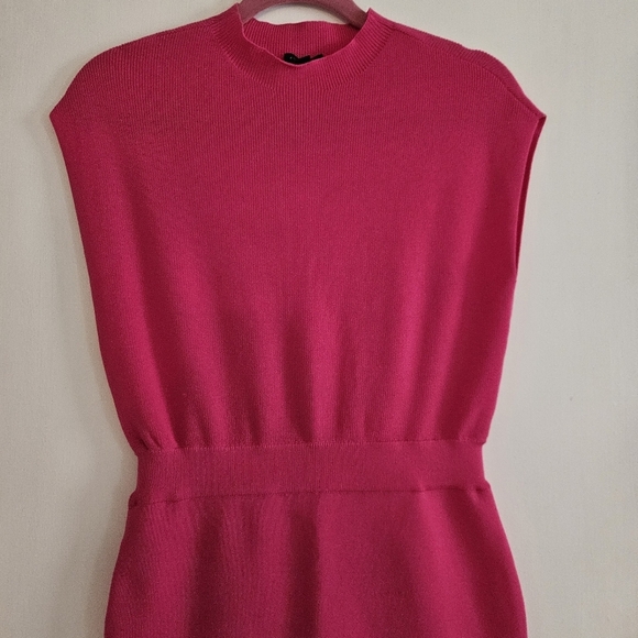 NWT Ann Taylor Petite Ribbed Blouson Sweater Dress Hot Pink Poppy XSP - Picture 4 of 11